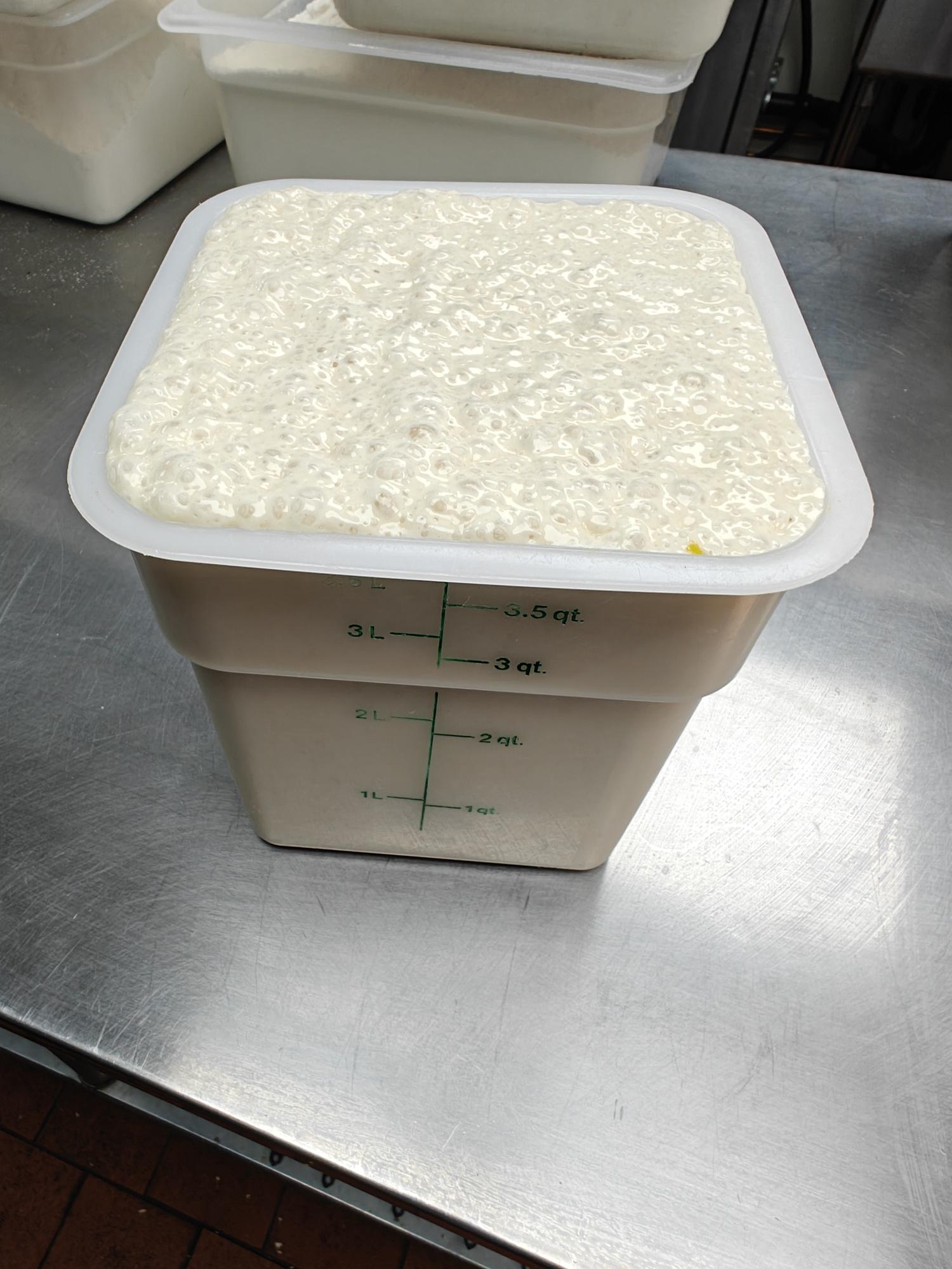 Our active sourdough starter